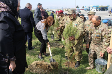 Səbail rayonunda “Heydər Əliyev ili” çərçivəsində ağacəkmə aksiyası keçirilib