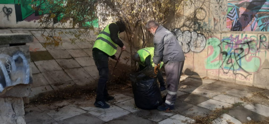 Səbail rayonunda növbəti iməclik keçirilmişdir