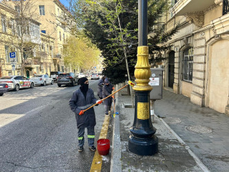 Səbail rayon ərazisində növbəti iməcilik işləri həyata keçirilmişdir