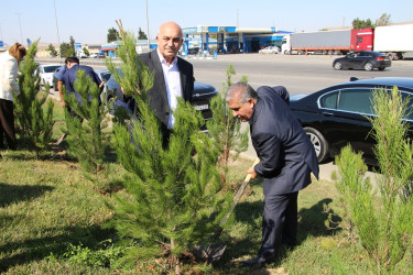 Səbail rayonunda 27 sentyabr - Anım Günü ilə əlaqədar ağacəkmə aksiyası keçirilib