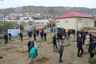 Səbail rayonunda "Yaşıl dünya naminə həmrəylik ili" çərçivəsində növbəti ağacəkmə aksiyası