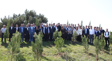 Səbail rayonunda 27 sentyabr - Anım Günü ilə əlaqədar ağacəkmə aksiyası keçirilib