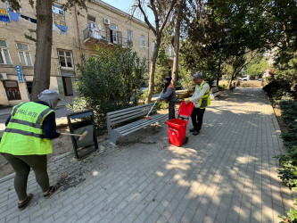 Səbail rayonunda növbəti ümumrayon iməciliyi keçirilib