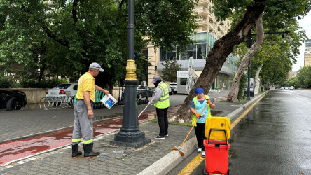 Səbail rayonunda iməcilik keçirilib