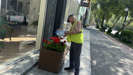 Səbail rayonunda növbəti iməclik keçirilib