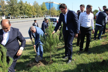 Səbail rayonunda 27 sentyabr - Anım Günü ilə əlaqədar ağacəkmə aksiyası keçirilib