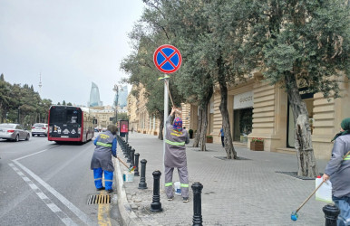 Səbail rayon ərazisində növbəti iməcilik işləri həyata keçirilmişdir