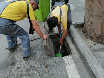 Səbail rayon ərazisində növbəti iməcilik işləri həyata keçirilmişdir