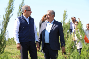 Səbail rayonunda 27 sentyabr - Anım Günü ilə əlaqədar ağacəkmə aksiyası keçirilib