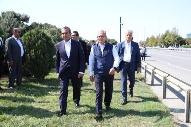 Səbail rayonunda 27 sentyabr - Anım Günü ilə əlaqədar ağacəkmə aksiyası keçirilib