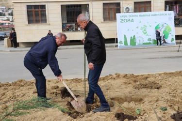 Səbail rayonunda "Yaşıl dünya naminə həmrəylik ili" çərçivəsində növbəti ağacəkmə aksiyası