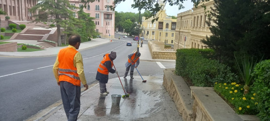 Səbail rayon ərazisində növbəti iməcilik işləri həyata keçirilmişdir