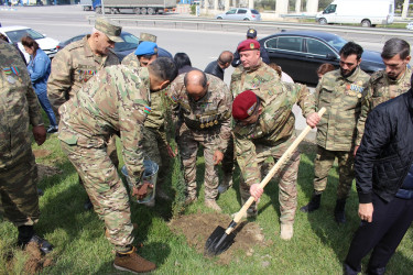 Səbail rayonunda “Heydər Əliyev ili” çərçivəsində ağacəkmə aksiyası keçirilib