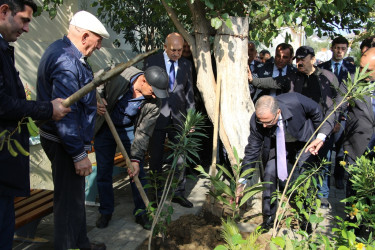 Səbail rayonunda növbəti yaşıl məhəllə sakinlərin istifadəsinə verildi