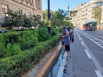Səbail rayonunda növbəti iməclik keçirilib