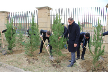 "Yaşıl dünya naminə həmrəylik ili" çərçivəsində Səbail rayonunda ağacəkmə aksiyası davam edir