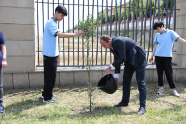 Səbaildə “Şəhərsalma və Memarlıq İli” çərçivəsində “Bir Uşaq bərabərdir Bir Ağac” layihəsi üzrə ağacəkmə aksiyası keçirilmişdir
