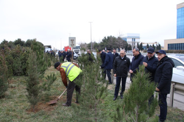 Səbail rayonunda Xocalı soyqırımı qurbanlarının xatirəsinə həsr olunmuş ağacəkmə aksiyası keçirilib