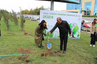 Səbaildə "Yaşıl dünya naminə həmrəylik ili" çərçivəsində növbəti ağacəkmə aksiyası