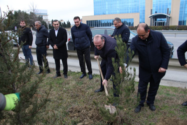 Səbail rayonunda Xocalı soyqırımı qurbanlarının xatirəsinə həsr olunmuş ağacəkmə aksiyası keçirilib