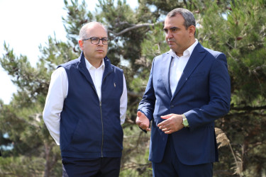Səbail rayonunda “Şəhərsalma və Memarlıq İli” çərçivəsində ağacəkmə aksiyası keçirilmişdir