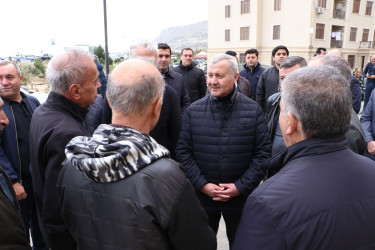 Səbail rayonunda "Yaşıl dünya naminə həmrəylik ili" çərçivəsində növbəti ağacəkmə aksiyası