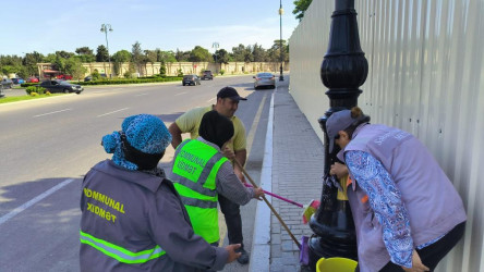 Səbail rayonunda növbəti iməcilik keçirildi