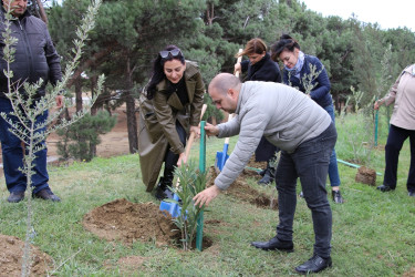 Səbaildə "Yaşıl dünya naminə həmrəylik ili" çərçivəsində növbəti ağacəkmə aksiyası