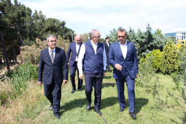 Səbail rayonunda “Şəhərsalma və Memarlıq İli” çərçivəsində ağacəkmə aksiyası keçirilmişdir