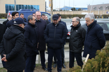 Səbail rayonunda Xocalı soyqırımı qurbanlarının xatirəsinə həsr olunmuş ağacəkmə aksiyası keçirilib