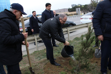 Səbail rayonunda Xocalı soyqırımı qurbanlarının xatirəsinə həsr olunmuş ağacəkmə aksiyası keçirilib
