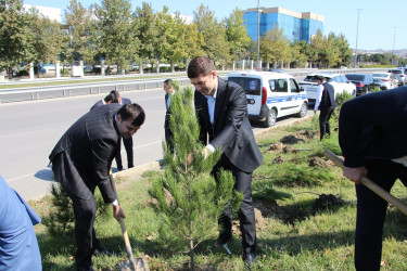 Səbail rayonunda 27 sentyabr - Anım Günü ilə əlaqədar ağacəkmə aksiyası keçirilib
