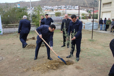 Səbail rayonunda "Yaşıl dünya naminə həmrəylik ili" çərçivəsində növbəti ağacəkmə aksiyası