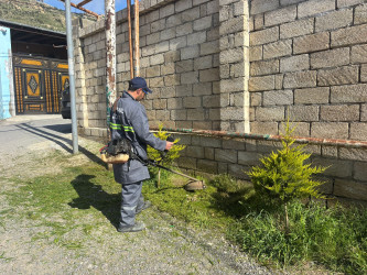 Səbail rayon ərazisində növbəti iməcilik işləri həyata keçirilmişdir