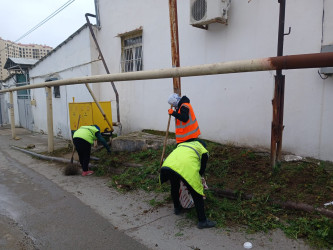 Səbaildə növbəti ümumrayon iməciliyi keçirilmişdir