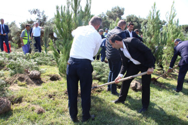 Səbail rayonunda 27 sentyabr - Anım Günü ilə əlaqədar ağacəkmə aksiyası keçirilib