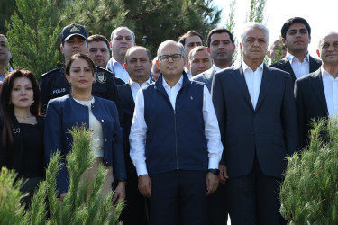 Səbail rayonunda 27 sentyabr - Anım Günü ilə əlaqədar ağacəkmə aksiyası keçirilib