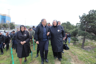 Səbail rayonunda “Heydər Əliyev ili” çərçivəsində ağacəkmə aksiyası keçirilib