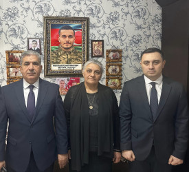 Səbail rayonunda Novruz bayramı münasibətilə şəhidlərin ailə üzvləri ziyarət olundu