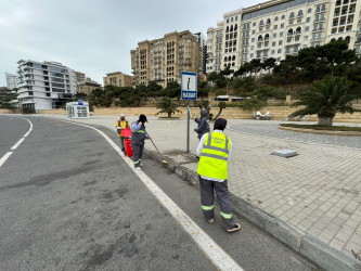 Səbail rayon ərazisində növbəti iməcilik işləri həyata keçirilmişdir