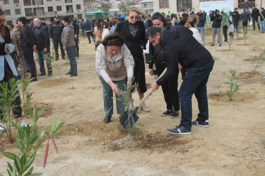 Səbail rayonunda "Yaşıl dünya naminə həmrəylik ili" çərçivəsində növbəti ağacəkmə aksiyası