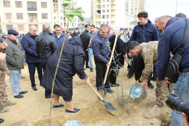 Səbail rayonunda "Yaşıl dünya naminə həmrəylik ili" çərçivəsində növbəti ağacəkmə aksiyası