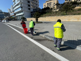 Səbail rayon ərazisində növbəti iməcilik işləri həyata keçirilmişdir