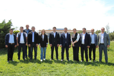 Səbail rayonunda "Konstitusiya və Suverenlik ili" çərçivəsində ağacəkmə aksiyası keçirilib