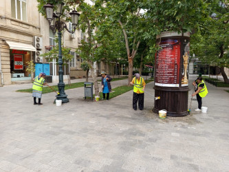 Səbail rayon ərazisində növbəti iməcilik işləri həyata keçirilmişdir