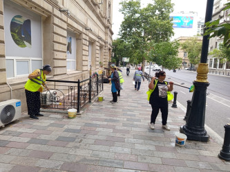 Səbail rayon ərazisində növbəti iməcilik işləri həyata keçirilmişdir