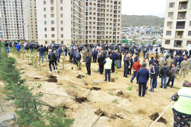 Səbail rayonunda "Yaşıl dünya naminə həmrəylik ili" çərçivəsində növbəti ağacəkmə aksiyası