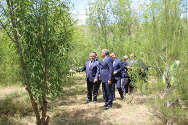 Rayon İcra Hakimiyyətinin başçısı 20-ci sahə yaşayış massivində sakinlərin müraciətlərini dinləmiş və əraziyə baxış keçirmişdir