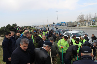 Səbail rayonunda “Heydər Əliyev ili” çərçivəsində ağacəkmə aksiyası keçirilib