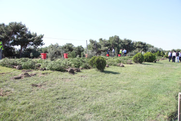 Səbail rayonunda 27 sentyabr - Anım Günü ilə əlaqədar ağacəkmə aksiyası keçirilib